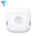 PT216W Indoor And Outdoor Sensor No Screen Graffiti WIFI Model Household Temperature And Humidity...