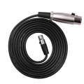 Xlrmini Caron Female To Mini Female Balancing Cable For 48V Sound Card Microphone Audio Cable, Le...