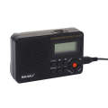 BAIJIALI BJL-166 Full Band Retro Radio Multifunctional Built-In Speaker Player(Black)
