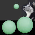 TPR Bite Resistant Luminous Bouncy Ball Pet Toys, Size: Large 6.5cm