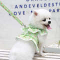 Pet Lace Vest Clothes Harness Leash, Size: M(Green Floral)