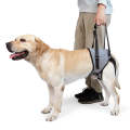 Dog Hind Leg Auxiliary Strap Decompression Auxiliary Travel Belt For Elderly and Injured Dog, Siz...