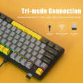 Ajazz K870T Pro 87 Keys Three Mode Wireless/Bluetooth/Wired Pluggable RGB Mechanical Keyboard Tea...