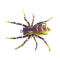 HENGJIA 8cm 7g Lua Spider Soft Bait Bionic Mimic Bait, Color: 2