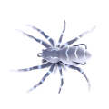 HENGJIA 8cm 7g Lua Spider Soft Bait Bionic Mimic Bait, Color: 5