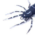 HENGJIA 8cm 7g Lua Spider Soft Bait Bionic Mimic Bait, Color: 3