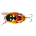 HENGJIA Insect Floating Water Bionic Bait Beetle Water Surface Bass Tap Fake Bait, Color: 3