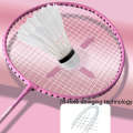 JinYu 1pair Iron Alloy Badminton Racket Training Racket With 3 Balls(Green+Green Bag)