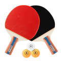 Agnite Three-star Professional Competition Table Tennis Racket Set with Three Balls