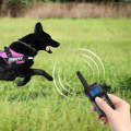 Pet Smart Training Waterproof Collar 1000m Remote Control Dog Training Device, Specification: Rec...