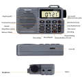 QL-221 Multifunctional Portable Bluetooth Plug-In Card Two-Band FM/AM Recording Radio, Style: US ...