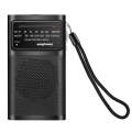 J-180 Portable Pointer FM/AM Two-Band Radios With Carrying Clip, Style: Regular Version(Black)
