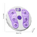 Rotating Waist Disc Twist Machine with Electronic Counter Magnetic Massage for Body Shaping, Colo...