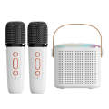 Home Portable Bluetooth Speaker Small Outdoor Karaoke Audio, Color: Y1 White(Double wheat)