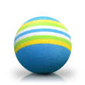 PGM 10 PCS Golf Indoor Practice Sponge Ball (Blue)