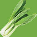 Cabbage Pak Choi Seeds