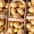 Valor Seed Potatoes, 10 per bag