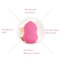 Foundation Sponge Blender - Gourd Shape - Pink