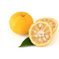 Yuzu (Citrus Junos) Concentrate (SSA/SUPA)