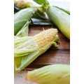 Corn Concentrate (FA)