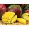Tropical Mango Concentrate (FRA)
