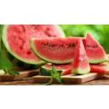 Watermelon Concentrate (HS)