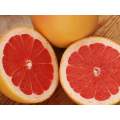 Natural Grapefruit Concentrate (INW)
