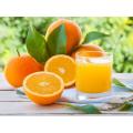Orange Juice Concentrate (REKA)