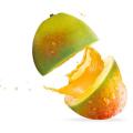 Mango Fruit Juicy Concentrate (FA)