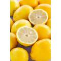 Lemon Concentrate (FRA)