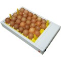 Egg Candler for 30 Chicken Eggs - SureView