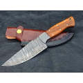 HUNTING KNIFE ROSEWOOD HANDLE WITH DAMASCUS STEEL BOLSTERS SA10-R