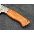 HUNTING KNIFE ROSEWOOD HANDLE WITH DAMASCUS STEEL BOLSTERS SA10-R