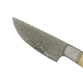 Handmade Damascus Steel Hunting Knife-B544