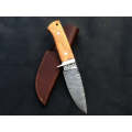 Handmade Damascus Steel Skinning Knife-C12