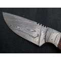 Handmade Damascus Steel Skinning Knife-C3