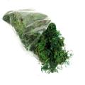 Packet of Moss
