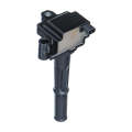 Electronic Ignition Pencil Coil - Ig6010 (Beta)