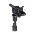 Electronic Ignition Pencil Coil - Ig6030 (Beta)