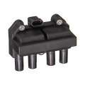 Electronic Ignition Coil Pack - Ig8004 (Beta)
