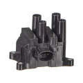 Electronic Ignition Coil Pack - Ig8007 (Beta)