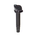 Electronic Ignition Pencil Coil - Ig9118 (Beta)