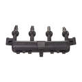 Electronic Ignition Coil Pack - Ig9122 (Beta)