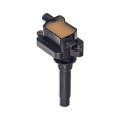 Electronic Ignition Pencil Coil - Ig9127 (Beta)