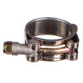 Stainless Steel T Bolt Clamps. - Sy20 (Doe)