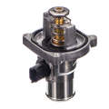 Thermostat - Th099 (Doe)