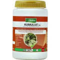 a - Kumulus - Organic safe Fungus, rust, mite treatment