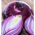 Onion Red Creole - Approx 125 seeds - Raw Open Pollinated