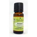 Aniseed Seed Oil - Pimpinella anisum - 100% Pure - 100ml