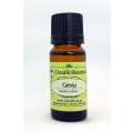 CATNIP OIL - nepeta cataria - 25% Blend